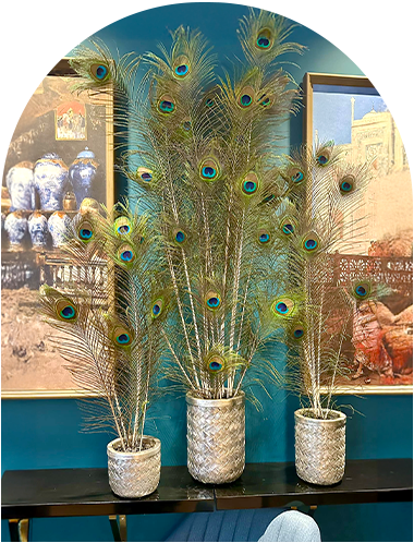 Restaurant indien pakistanais Niort - bien manger NIORT